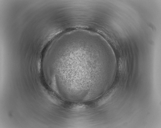 X0000116060206200912041901