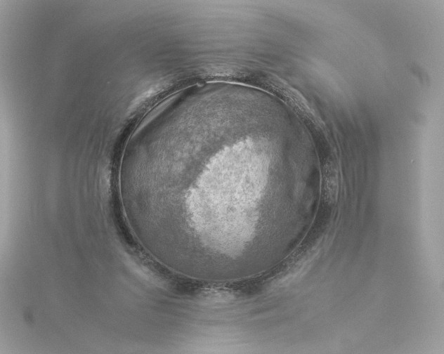 X0000116060207200912041901