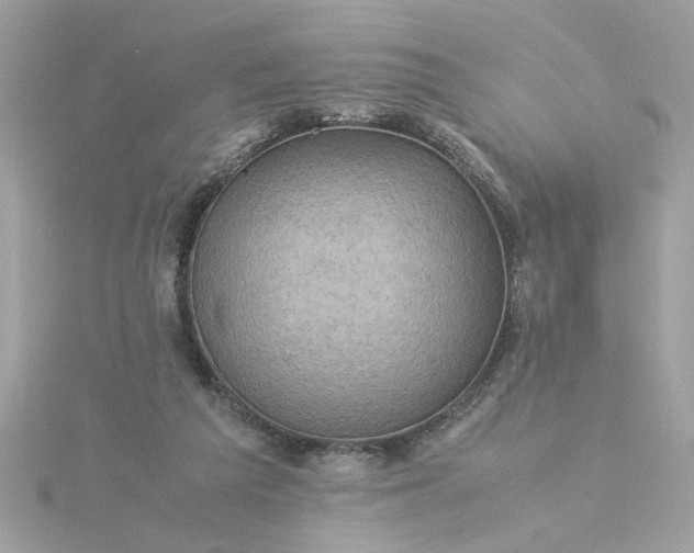 X0000116060209200912041901