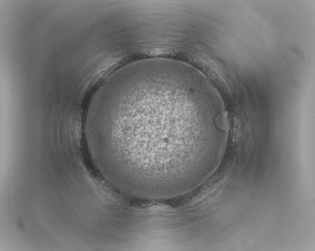 X0000116060210200912041901