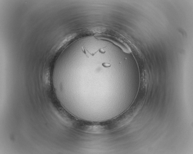 X0000116060212200912041901