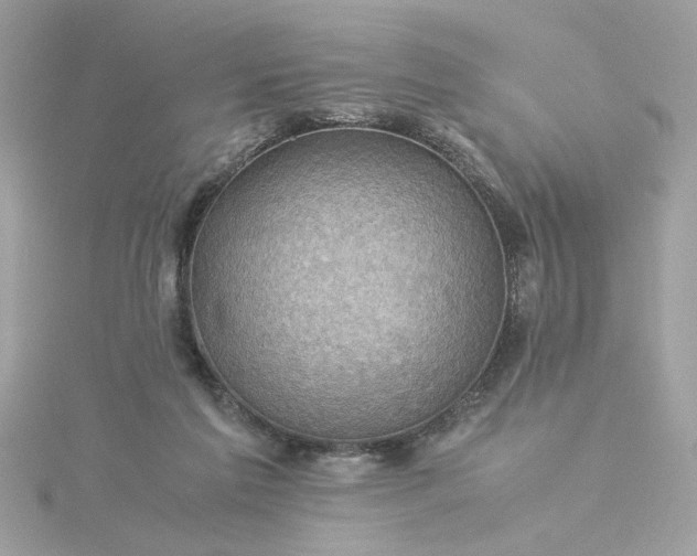 X0000116060213200912041901