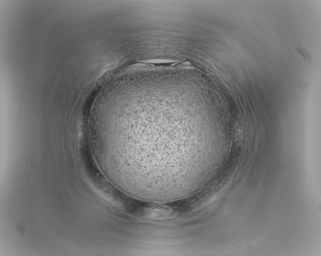 X0000116060215200912041901