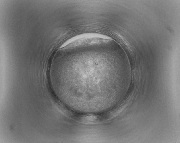 X0000116060217200912041901