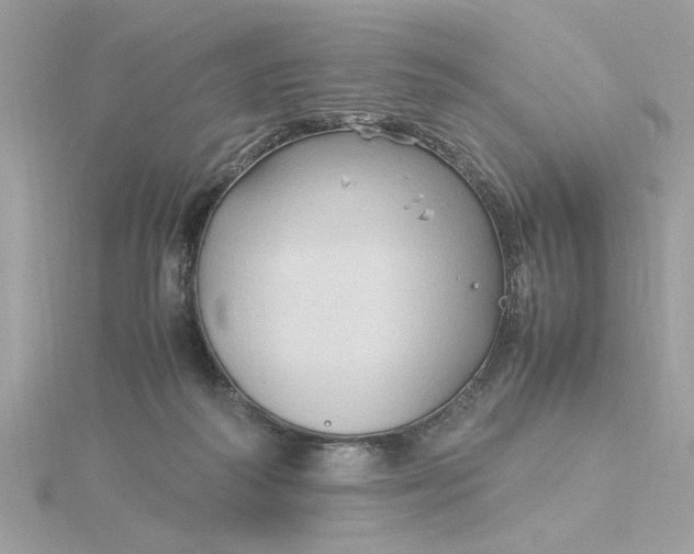 X0000116060218200912041901