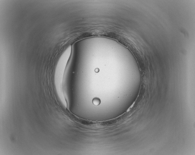 X0000116060219200912041901