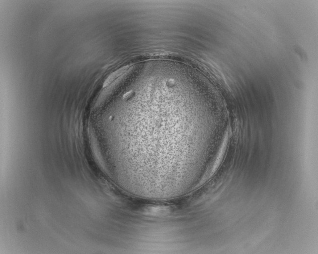 X0000116060220200912041901