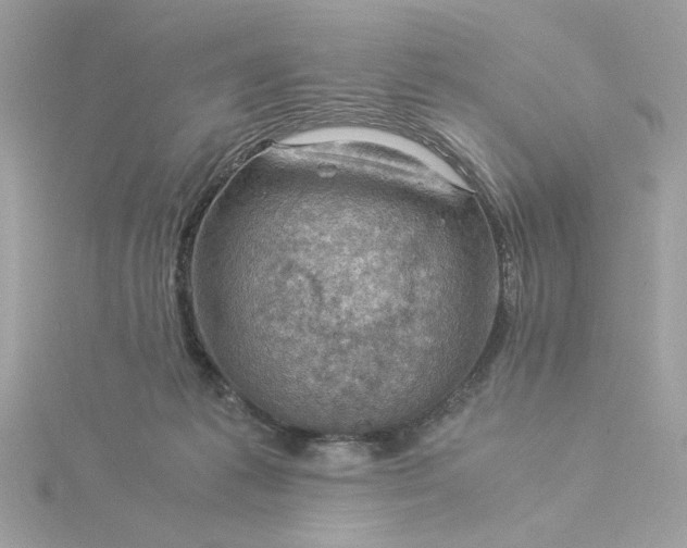 X0000116060221200912041901