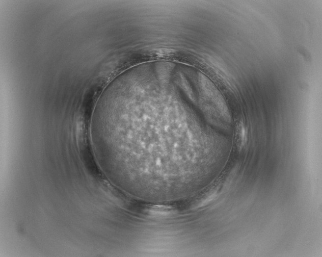 X0000116060222200912041901