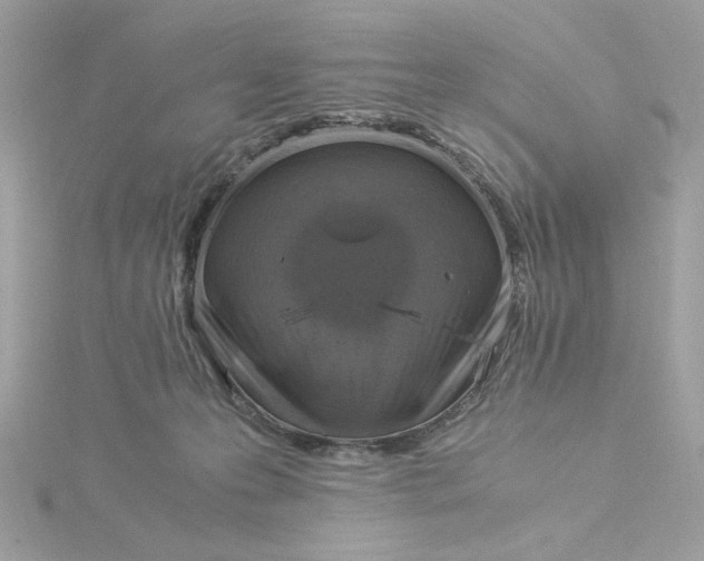 X0000116060223200912041901