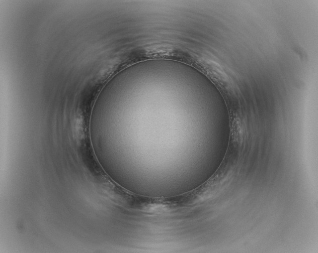 X0000116060224200912041901