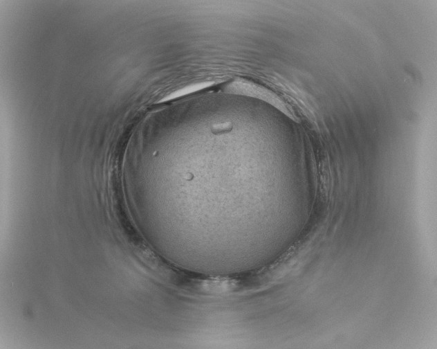 X0000116060225200912041901