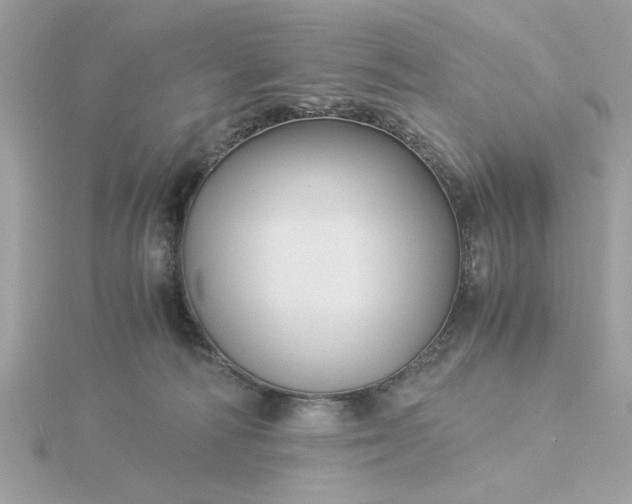 X0000116060226200912041901