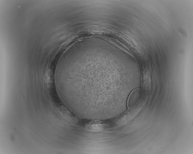 X0000116060228200912041900