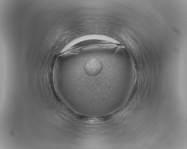 X0000116060229200912041900