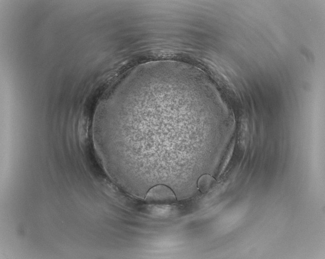 X0000116060230200912041900