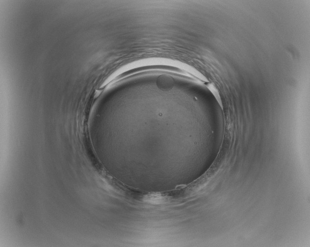 X0000116060231200912041900