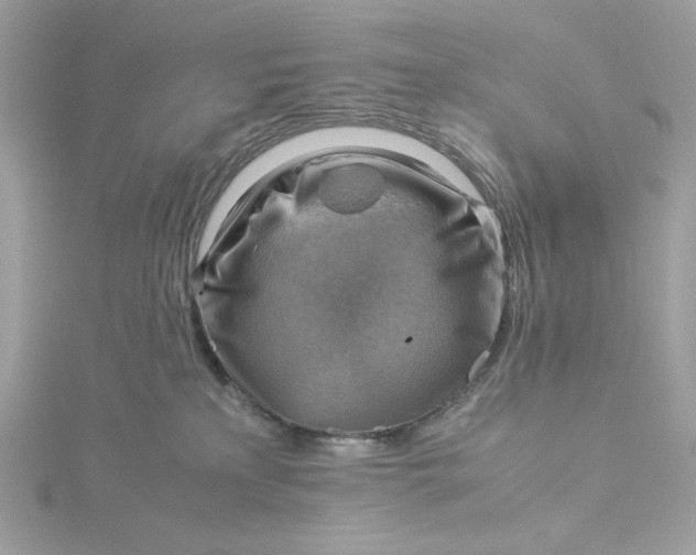 X0000116060233200912041900