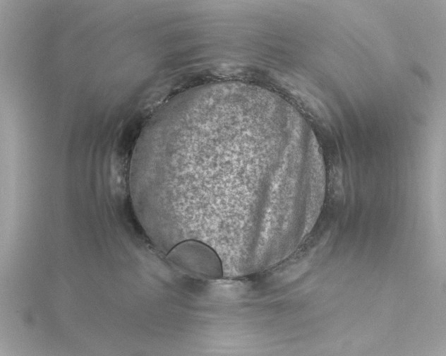 X0000116060234200912041900