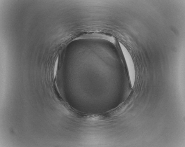 X0000116060235200912041900