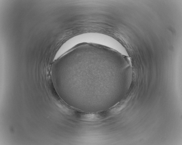 X0000116060237200912041900