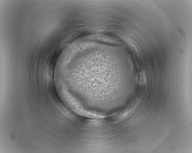 X0000116060238200912041900