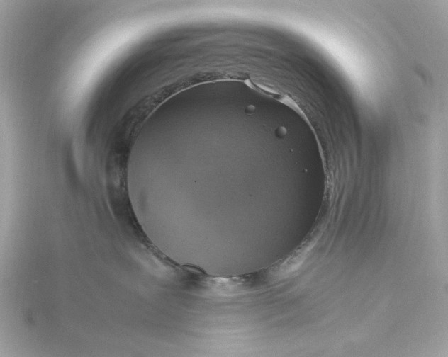 X0000116060239200912041900