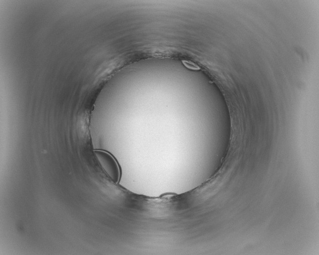 X0000116060240200912041900