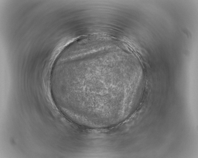 X0000116060241200912041900