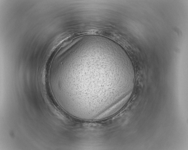 X0000116060242200912041900