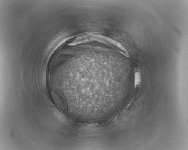 X0000116060243200912041900