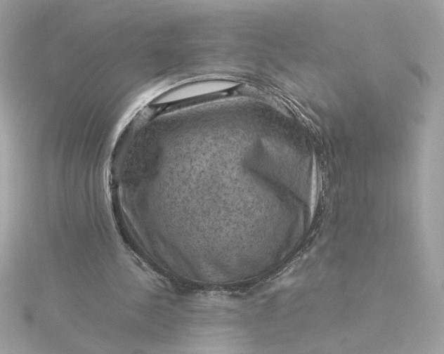 X0000116060244200912041900