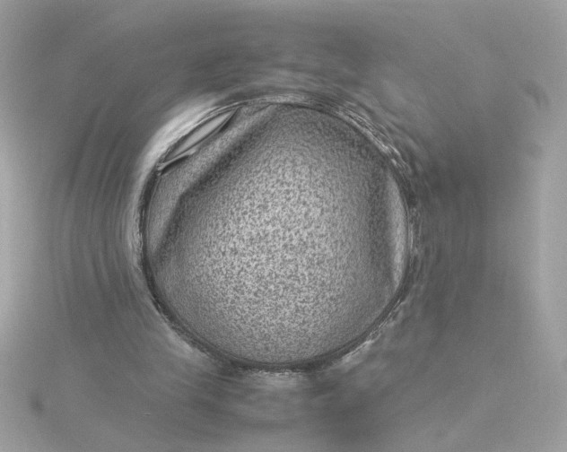 X0000116060245200912041900