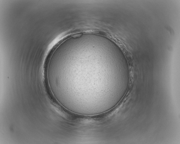 X0000116060246200912041900