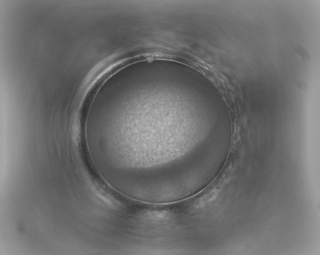 X0000116060247200912041900