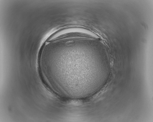 X0000116060248200912041900