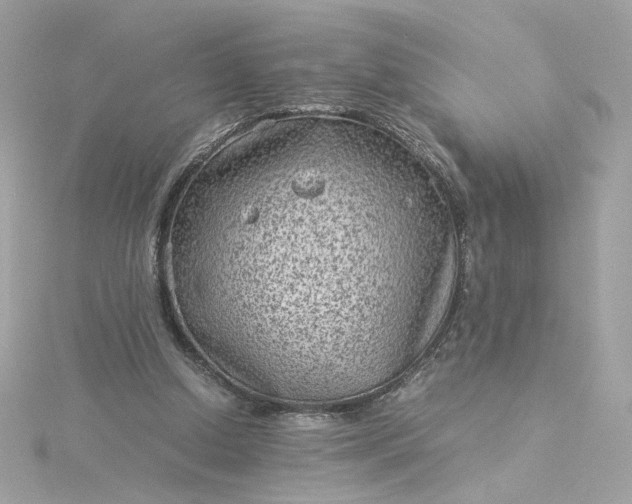 X0000116060250200912041900