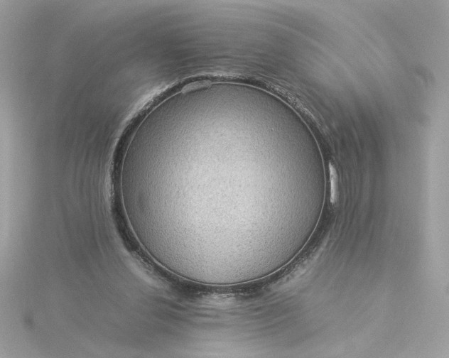 X0000116060252200912041900