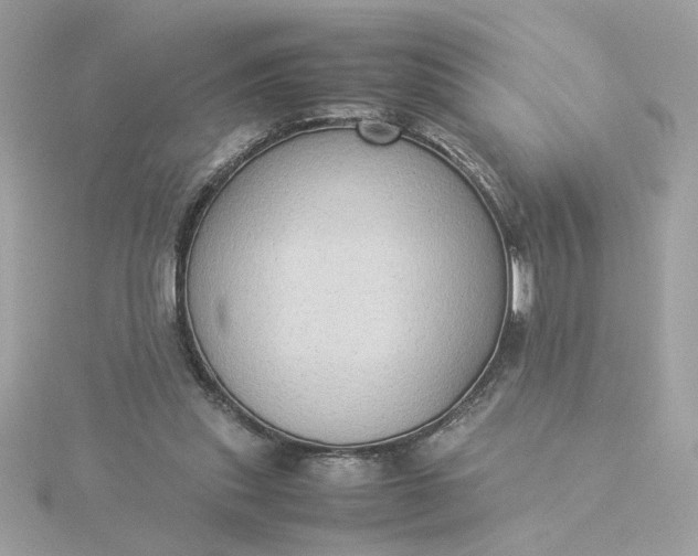 X0000116060253200912041900