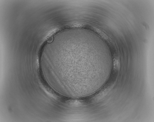 X0000116060254200912041900