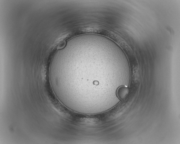 X0000116060255200912041900