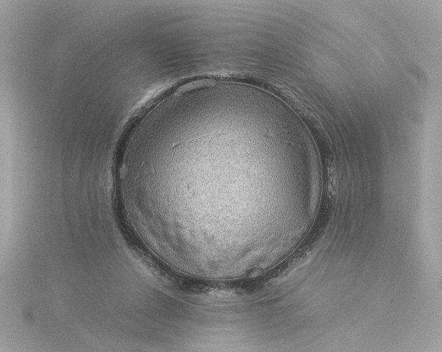 X0000116060256200912041900