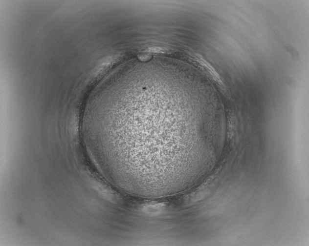 X0000116060257200912041900