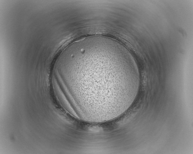 X0000116060258200912041900