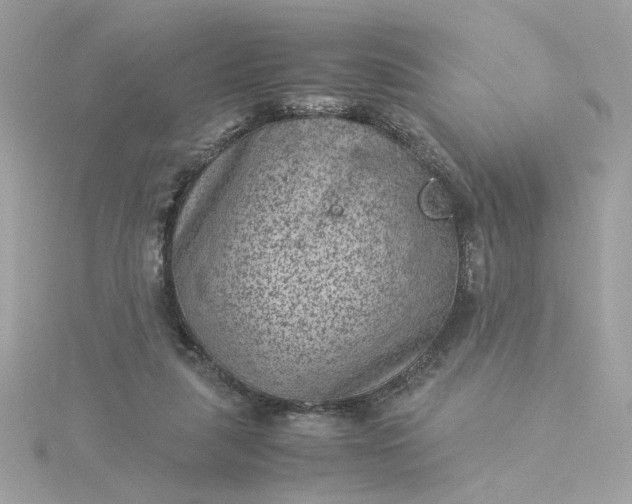 X0000116060259200912041900