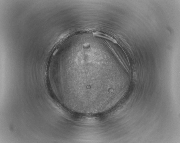 X0000116060260200912041900