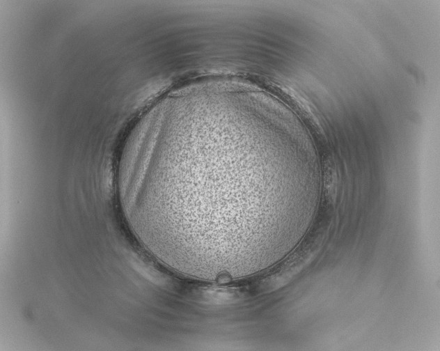 X0000116060261200912041900