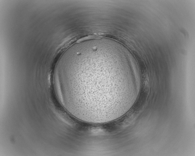 X0000116060262200912041900