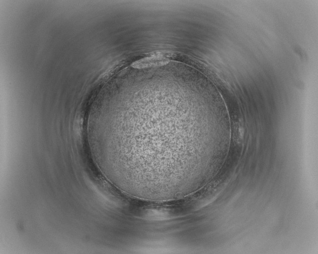 X0000116060263200912041900