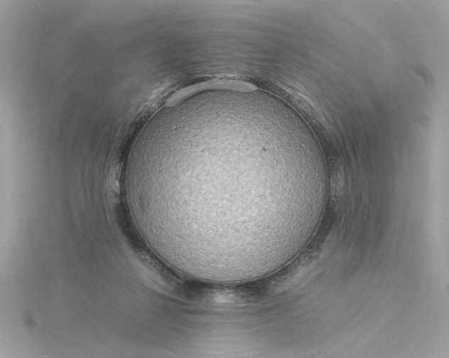 X0000116060264200912041900